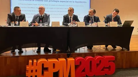 Imagen de una de las mesas redondas en el Congreso. (Congreso Profesional Mediterr&aacute;neo)