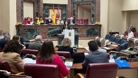 La consejera de Turismo, Carmen Conesa, durante su intervenci&oacute;n en la Asamblea Regional. (CARM)