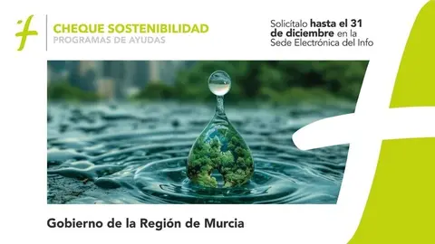 El 'Cheque Sostenibilidad' puede solicitarse hasta el 31 de diciembre en la sede electr&oacute;nica del Info. (CARM)