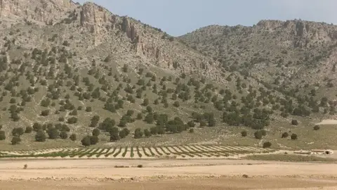 Foto de agricultura en zona de monta&ntilde;a en Caravaca de la Cruz. (CARM)