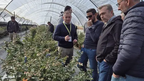 Juan Luis Jim&eacute;nez, de Orginalius, en unos cultivos. (Agritech Murcia)