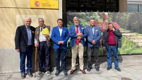 El director general de Producci&oacute;n Agraria, Ganadera y Pesquera, Juan Pedro Vera, junto a los representantes de Fecoam tras la reuni&oacute;n que han mantenido con responsables de Sanidad Vegetal del Ministerio. (CARM)