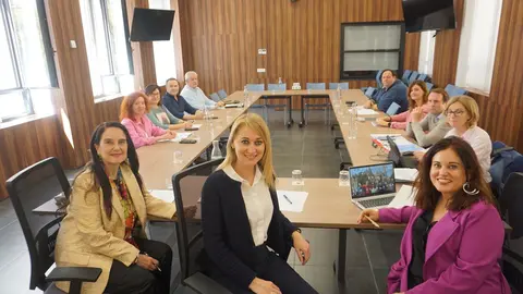 Reuni&oacute;n de la Comisi&oacute;n Regional de Seguimiento.