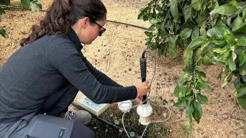 Imagen de la medida de la humedad del suelo durante el ensayo con agentes humectantes. (CARM)