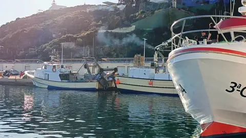 Imagen de archivo de barcos de pesca en Mazarr&oacute;n. (CARM)