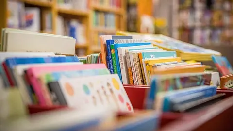 Librer&iacute;a. (Imagen de Hermann Kollinger en Pixabay)