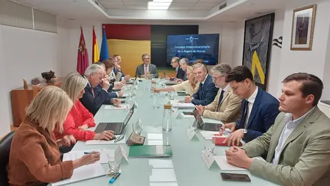 El consejero de Medio Ambiente, Universidades, Investigaci&oacute;n y Mar Menor, Juan Mar&iacute;a V&aacute;zquez, preside el primer Consejo Interuniversitario de 2025. (CARM)