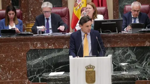 El consejero de Fomento e Infraestructuras, Jorge Garc&iacute;a Montoro, durante una intervenci&oacute;n en la Asamblea Regional. (CARM)