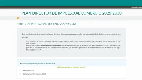 magen del apartado de consultas de la p&aacute;gina web del Plan Director de Impulso al Comercio 2025-2030. (CARM)