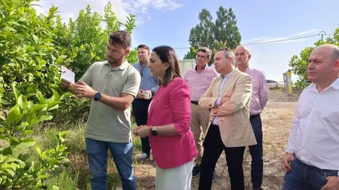 magen de la consejera Sara Rubira en unos de los campos de cultivo de lim&oacute;n que participan en el proyecto. (CARM)