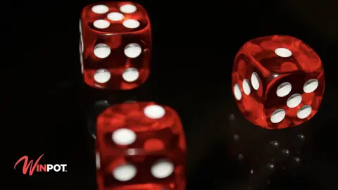 Winpot en M&eacute;xico: Tu gu&iacute;a para el mundo de las apuestas y los juegos de azar- (ADS)
