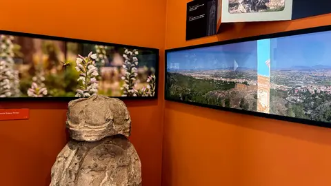 Ciudad, huerta y campo se encuentran en una exposici&oacute;n que celebra los 1200 a&ntilde;os de la historia de Murcia- (Ayto. Murcia)