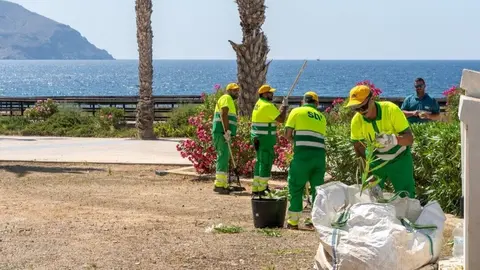 La nueva empresa de jardiner&iacute;a ya trabaja en m&aacute;s de diez hect&aacute;reas del litoral oeste de Cartagena. (Ayuntamiento de Cartagena)