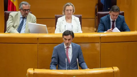 El consejero de Fomento e Infraestructuras, Jorge Garc&iacute;a Montoro, durante su intervenci&oacute;n en el Senado. (CARM)