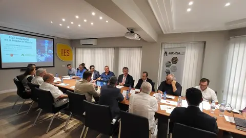 Imagen durante el transcurso de la reuni&oacute;n. (CARM)