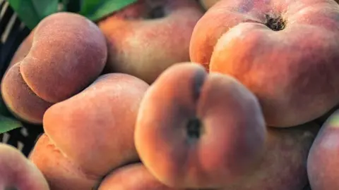 NdP Lidl prev&eacute; comprar m&aacute;s de 280.000 toneladas de fruta de verano espa&ntilde;ola_Paraguayos