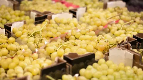 uvas 
murcia