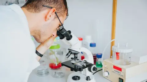 Imagen de un laboratorio de la UPCT. (UPCT)