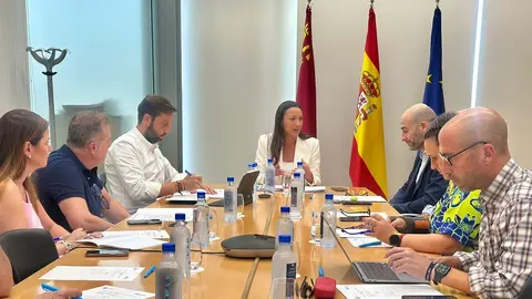 20250729ConsejoAsesor