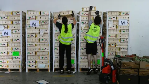 Sexta edici&oacute;n de la campa&ntilde;a 'Ning&uacute;n hogar sin alimentos'. (CaixaBank)