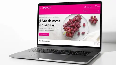 Ecommerce de Moyca. (Portavoz)