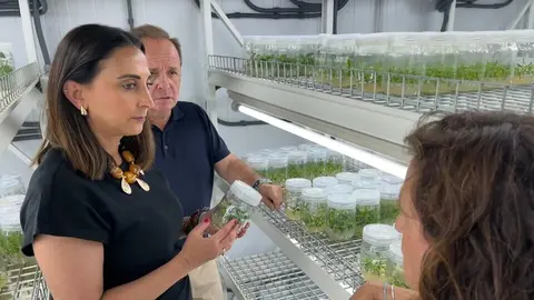Imagen de la consejera de Agricultura, Sara Rubira, en el laboratorio del Imida en el que se realiza la investigaci&oacute;n sobre variedades de pomelo. (CARM)