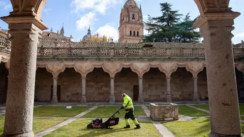 Un trabajador de Act&uacute;a en la Universidad de Salamanca. (Hozono Global)