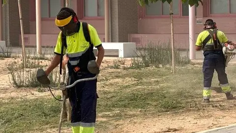 Trabajadores de Act&uacute;a en un colegio de Torrevieja. (Hozono Global)