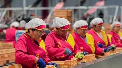Trabajadores de Moyca confeccionan los diferentes pedidos, en las instalaciones de la firma