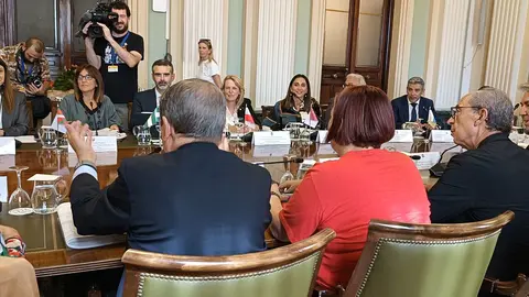 La consejera Sara Rubira en la reuni&oacute;n de los Consejos Consultivos de Pesca y Agricultura. (CARM)