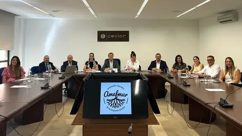 Fotograf&iacute;a de la junta directiva de Amefmur durante la jornada de trabajo. (Amefmur)