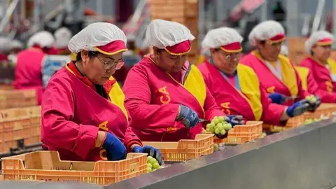 Trabajadores de Moyca confeccionan los diferentes pedidos en las instalaciones de la firma. (Portavoz)