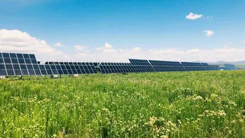Placas solares de Soltec. (Soltec)