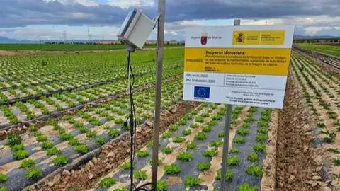 Ensayo del proyecto Nitrosfera en Agromediterranea. (Proexport)