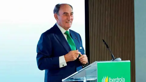 El presidente de Iberdrola, Ignacio Gal&aacute;n. (Iberdrola)