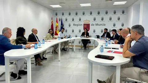 Imagen durante el transcurso de la reuni&oacute;n. (CARM)