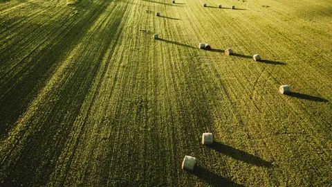 Imagen de archivo de un campo agr&iacute;cola. (Freepik)