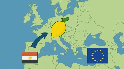 Infograf&iacute;a de la situaci&oacute;n comercial entre Europa y Egipto. (Asaja Murcia)