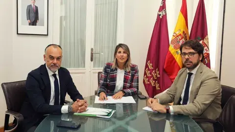Imagen de la reuni&oacute;n con ATA. (Ayuntamiento de Cartagena)