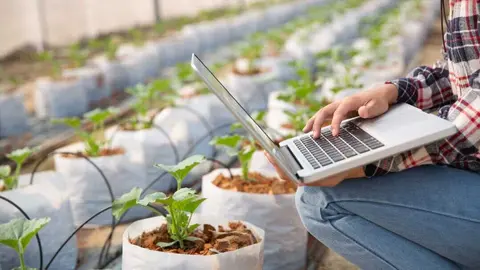 Imagen ilustrativa del sector agrotecnol&oacute;gico. (CARM)