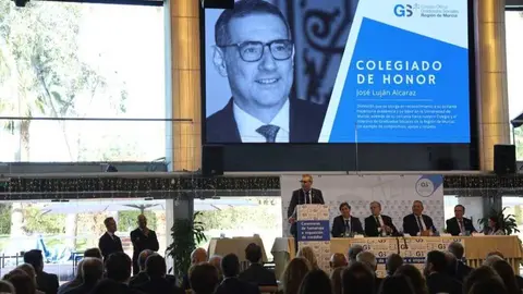 Intervenci&oacute;n del rector Lucas tras nombramiento como Colegiado de Honor del CGS. (CGS)
