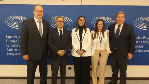 La consejera Sara Rubira junto a los europarlamentarios, tras la reuni&oacute;n mantenida hoy en Bruselas.&nbsp;(CARM)