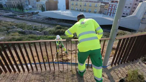Trabajadores de Act&uacute;a en el Molinete de Cartagena. (Hozono Global)