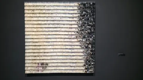 El &lsquo;Esbozo de la espora&rsquo;, de Paula Ciani, gana el certamen Creamurcia &lsquo;Edici&oacute;n Murcia 1200&rsquo; en la categor&iacute;a de Artes Visuales