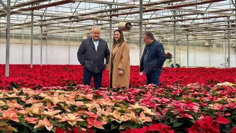 La consejera Sara Rubira junto al alcalde de Totana visitando las instalaciones de Viveros Bermejo en el municipio. (CARM)