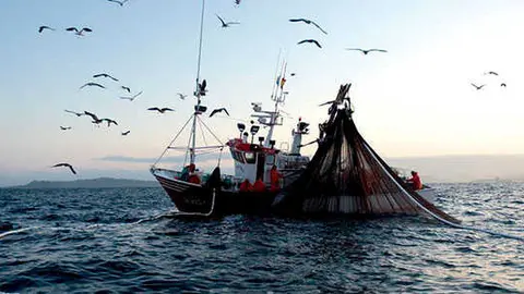 8464_190120pesca