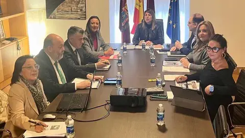Imagen de la reuni&oacute;n celebrada por el Patronato del Teatro Romano. (CARM)