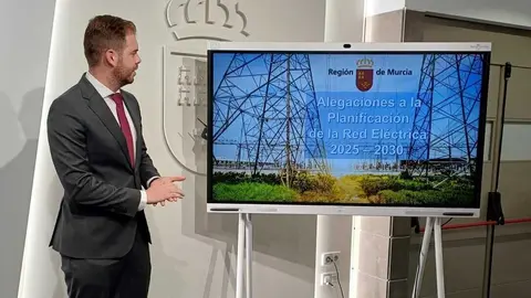 El director general de Industria, Energ&iacute;a y Minas, Federico Miralles, durante la explicaci&oacute;n de las alegaciones a la propuesta del Ministerio sobre la planificaci&oacute;n de la Red El&eacute;ctrica. (CARM)