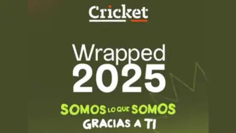 Presentaci&oacute;n de la iniciativa. (Cricket)