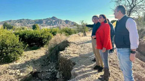 La consejera Sara Rubira visita una finca de c&iacute;tricos de Abanilla con da&ntilde;os en frutos por el granizo. (CARM)